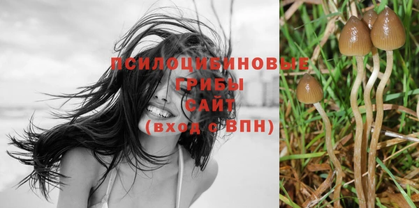молекула духа Балабаново