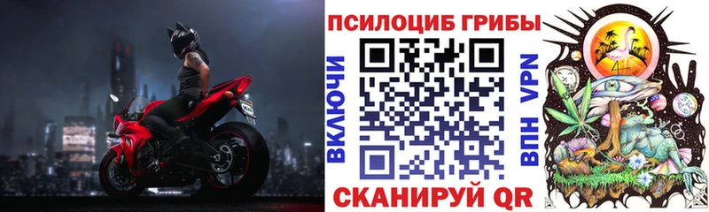 blacksprut сайт  Демидов  это состав  Галлюциногенные грибы Cubensis 