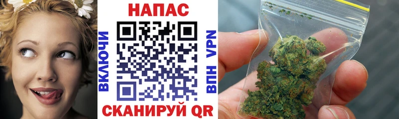 Конопля White Widow  продажа наркотиков  Демидов 